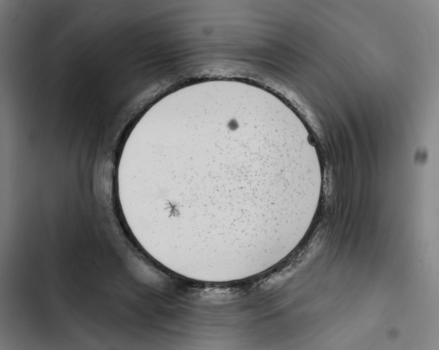 X0000102360445200808291229