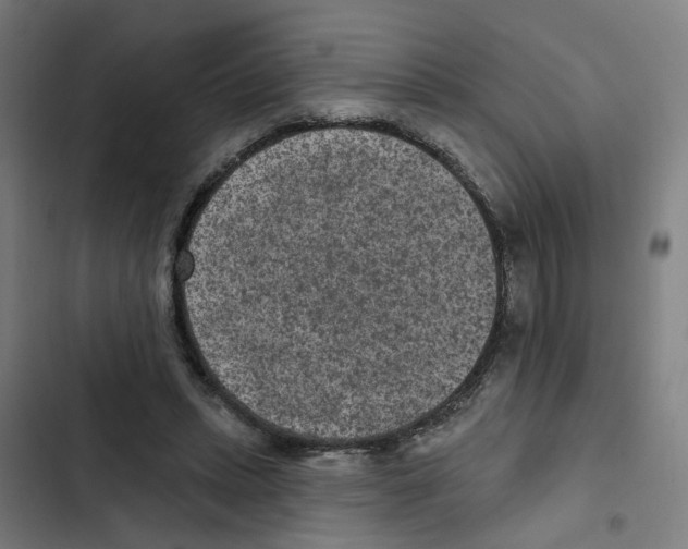 X0000102360447200808291229