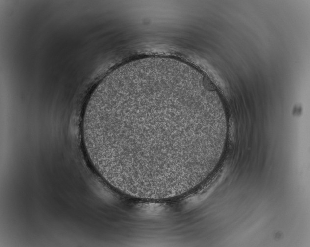 X0000102360449200808291229
