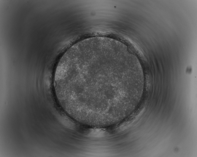 X0000102360451200808291229