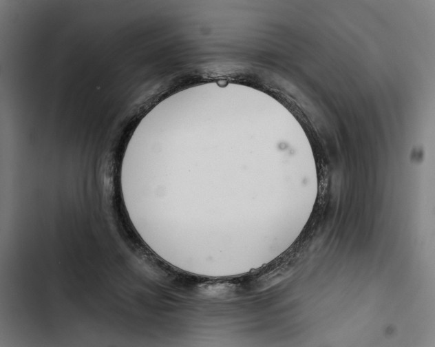 X0000102360452200808291229