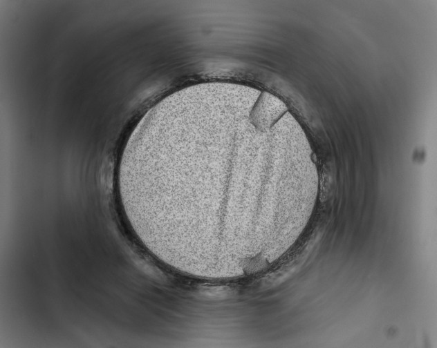 X0000102360454200808291229
