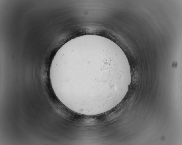 X0000102360456200808291229