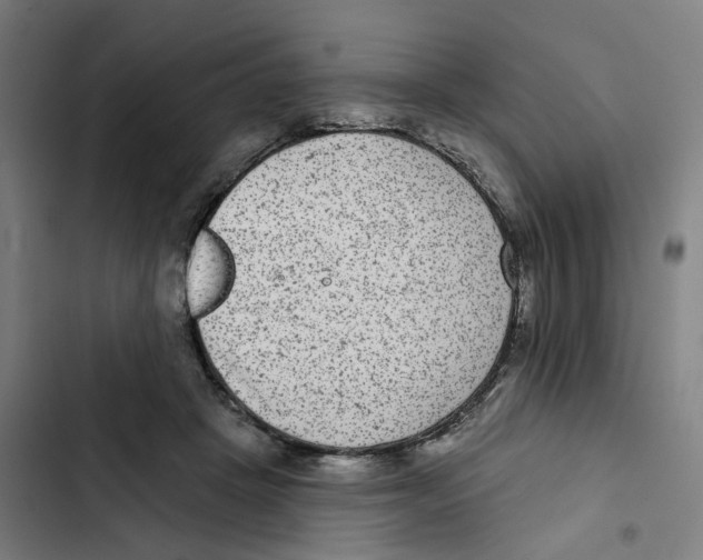 X0000102360457200808291229