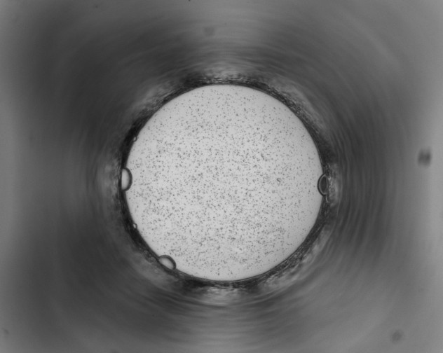 X0000102360458200808291229