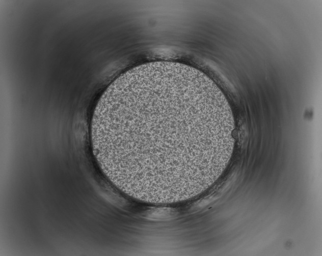 X0000102360459200808291229