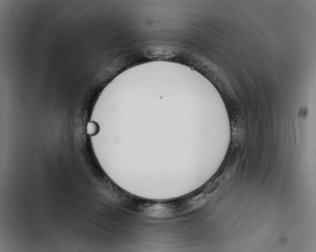 X0000102360460200808291229