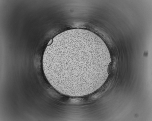 X0000102360461200808291229