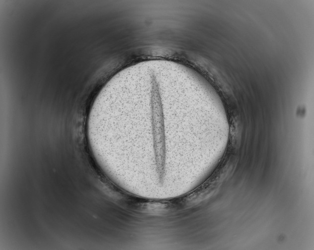 X0000102360462200808291229