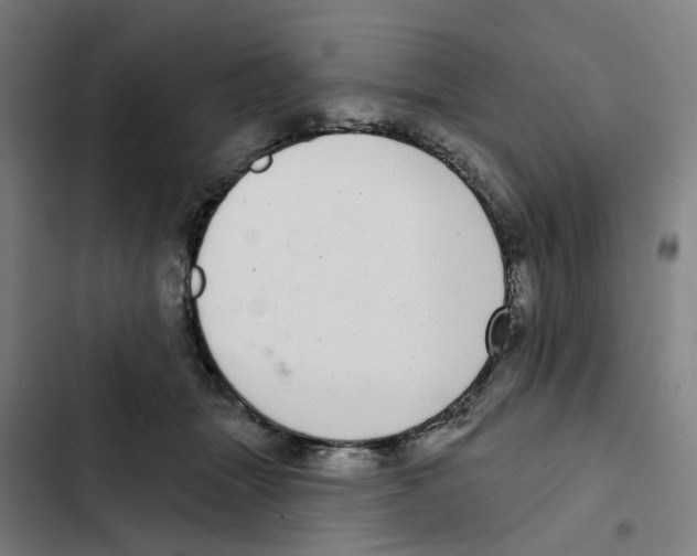 X0000102360463200808291229