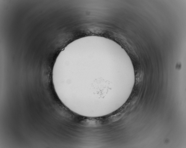 X0000102360464200808291229