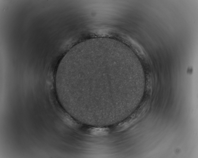 X0000102360465200808291229