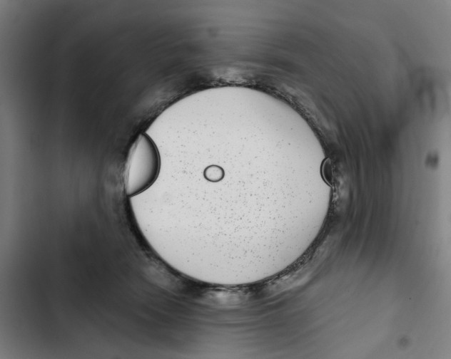 X0000102360466200808291229