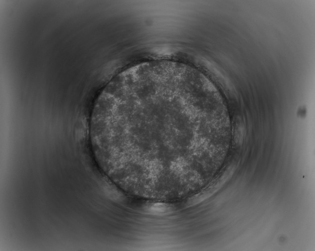 X0000102360467200808291229