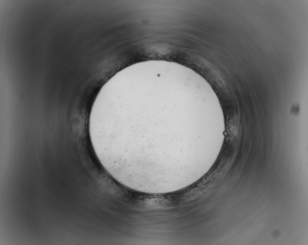 X0000102360468200808291229