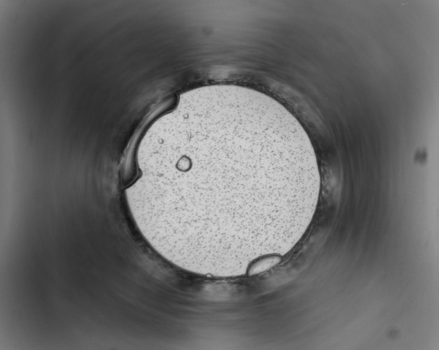 X0000102360470200808291229