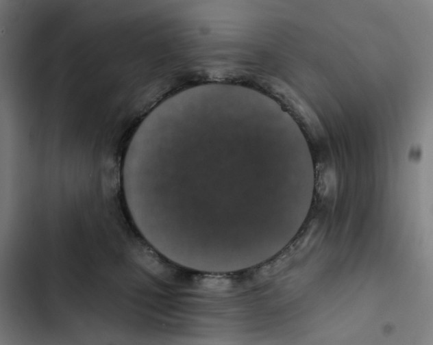 X0000102360471200808291229