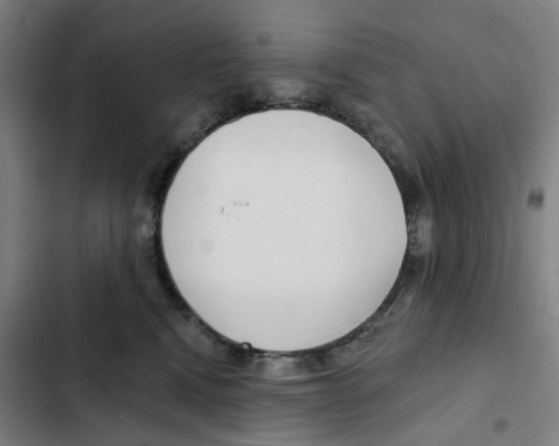 X0000102360472200808291229