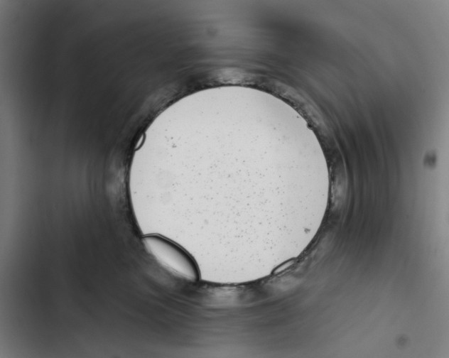 X0000102360473200808291229