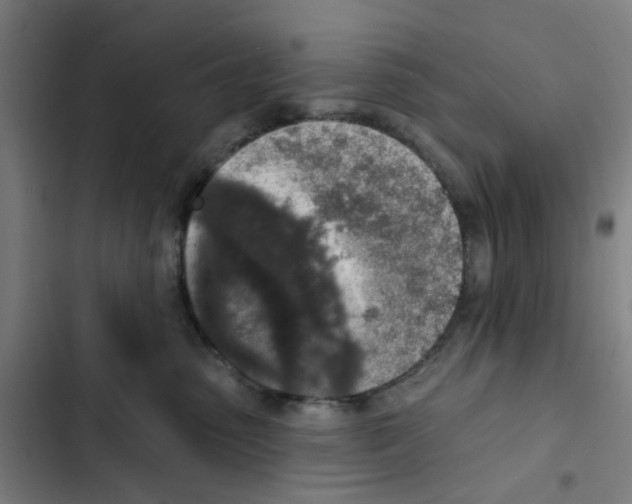 X0000102360475200808291229