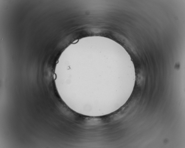 X0000102360476200808291229