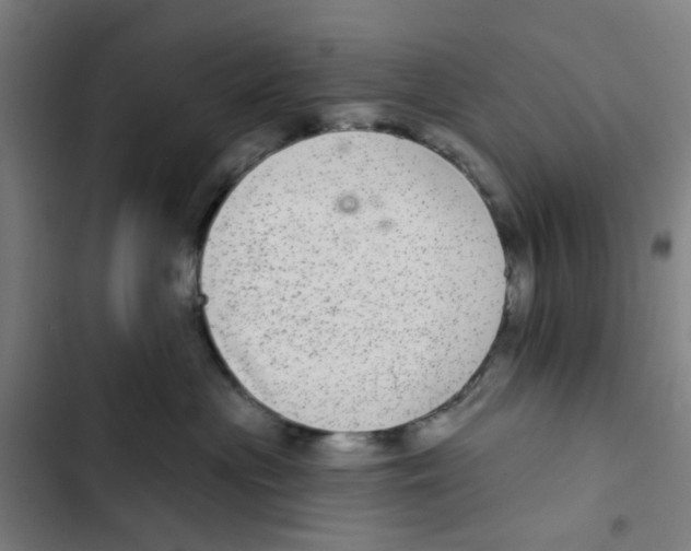 X0000102360477200808291229