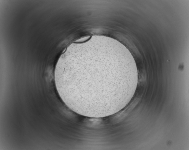 X0000102360478200808291229