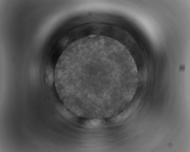 X0000102360479200808291229
