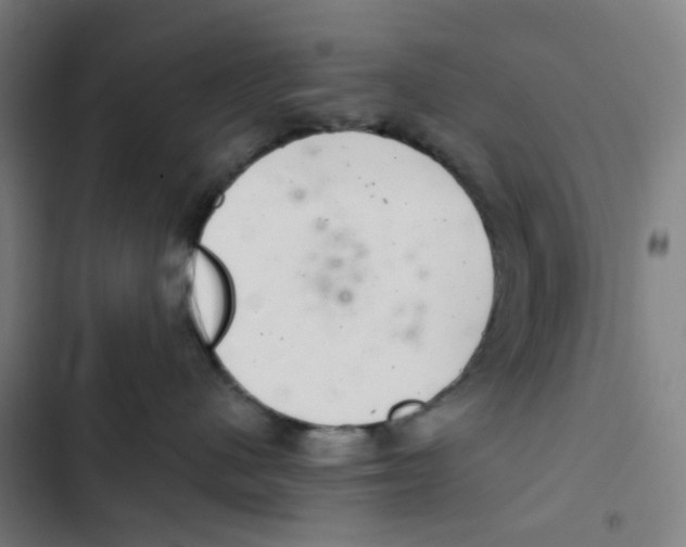 X0000102360480200808291229