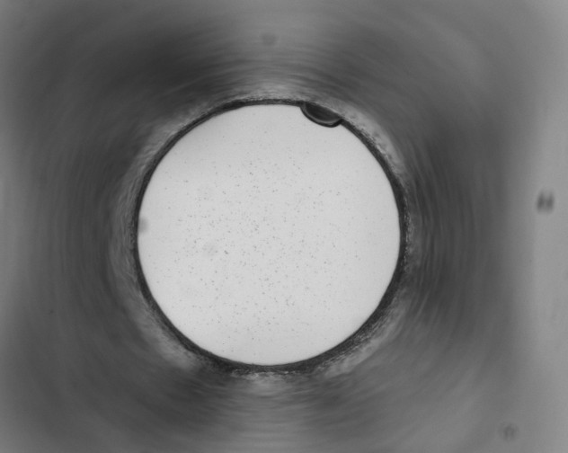 X0000102360481200808291229