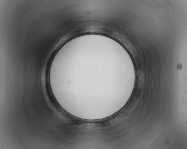 X0000102360482200808291229