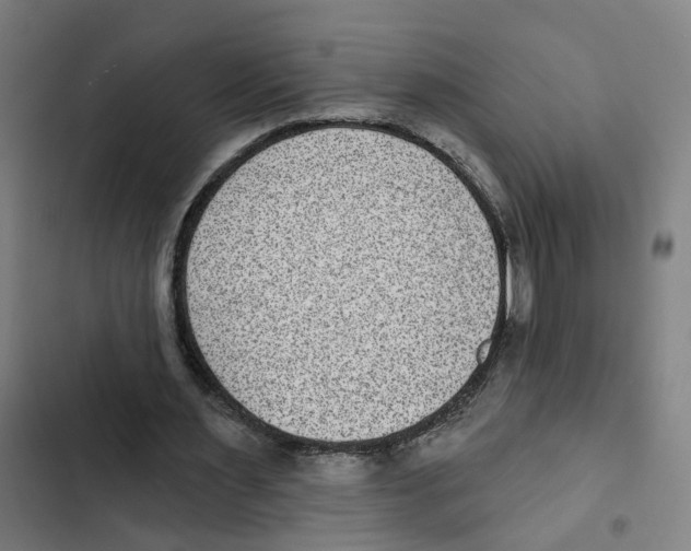 X0000102360483200808291229