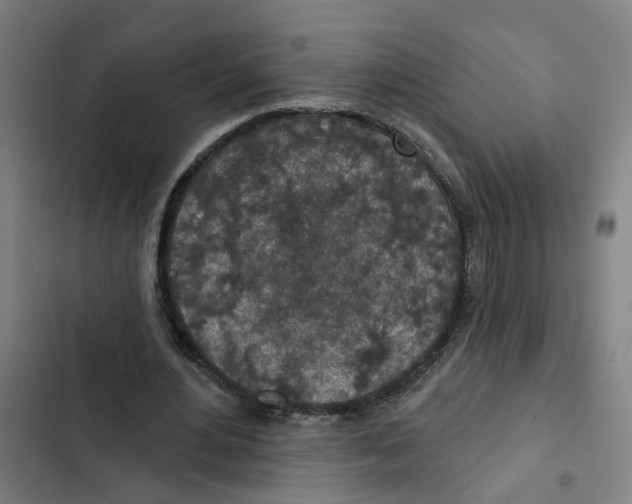 X0000102360484200808291229