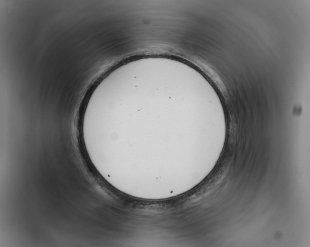 X0000102360485200808291229