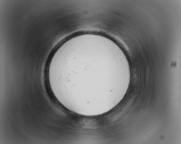X0000102360487200808291229