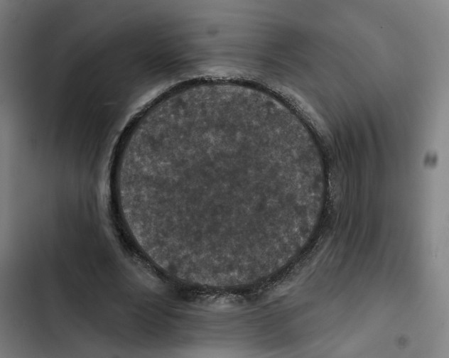 X0000102360488200808291229