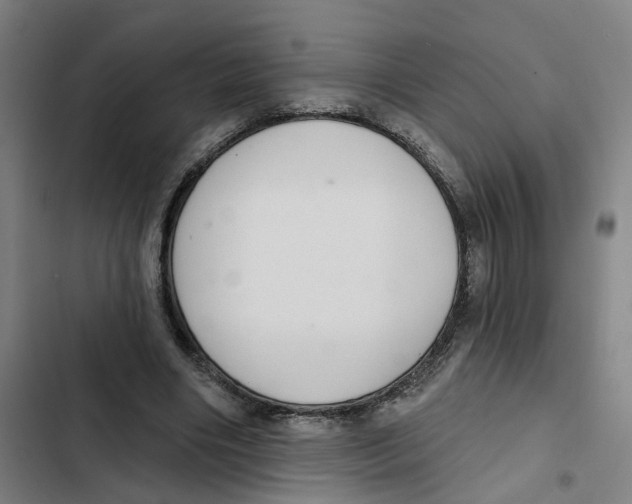 X0000102360490200808291229
