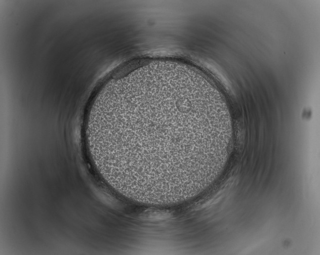 X0000102360491200808291229