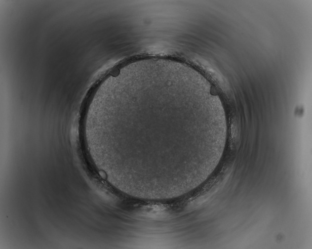 X0000102360492200808291229