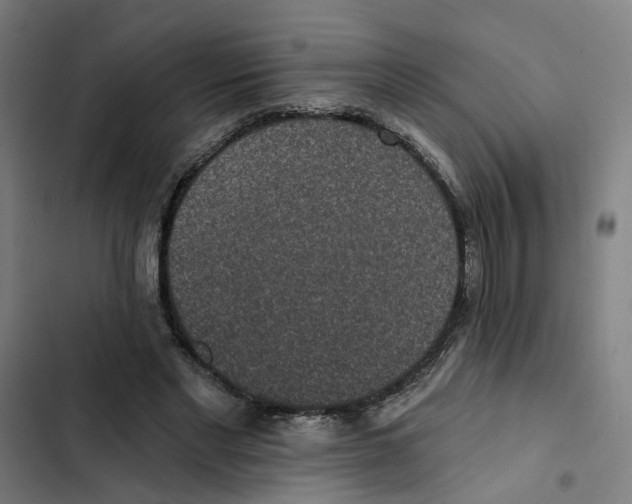 X0000102360493200808291229