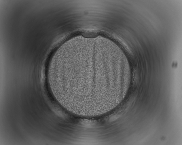 X0000102360494200808291229