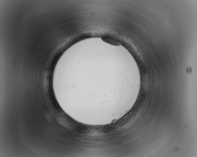 X0000102360495200808291228