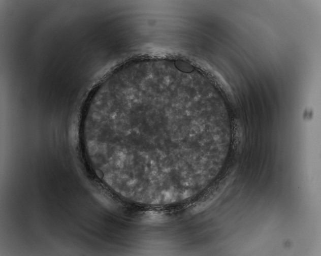 X0000102360496200808291228