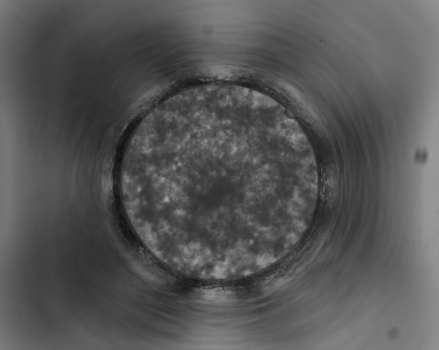 X0000102360500200808291228