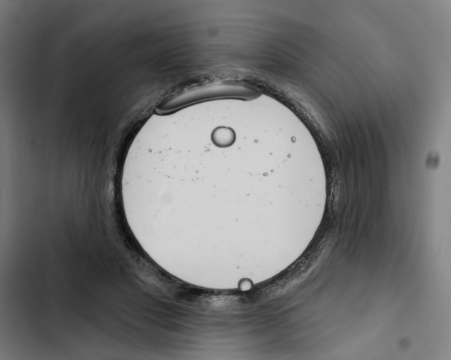 X0000102360501200808291228