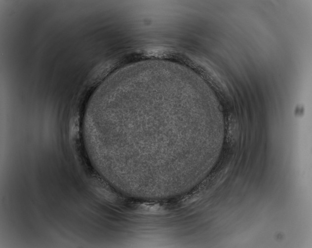 X0000102360502200808291228
