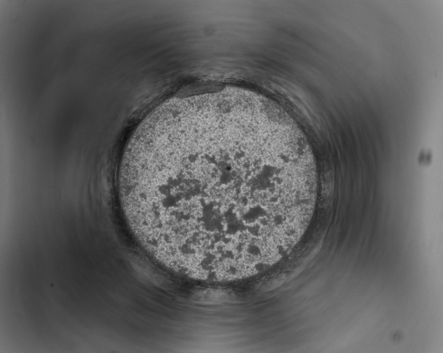 X0000102360503200808291228