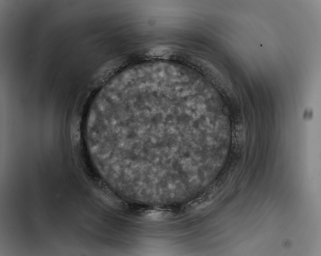 X0000102360504200808291228