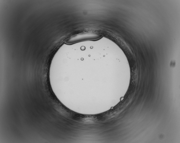 X0000102360505200808291228