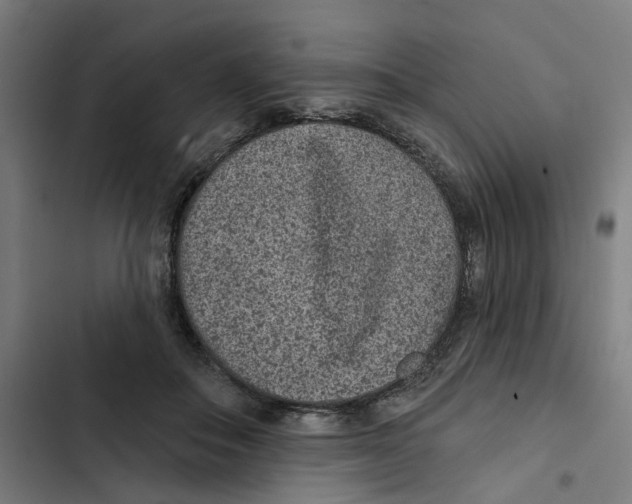 X0000102360506200808291228